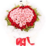 ۿҵ